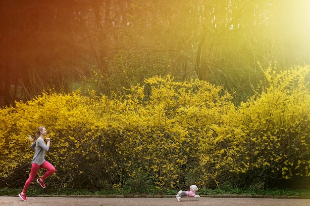 summer sporty jogging labrador outdoor