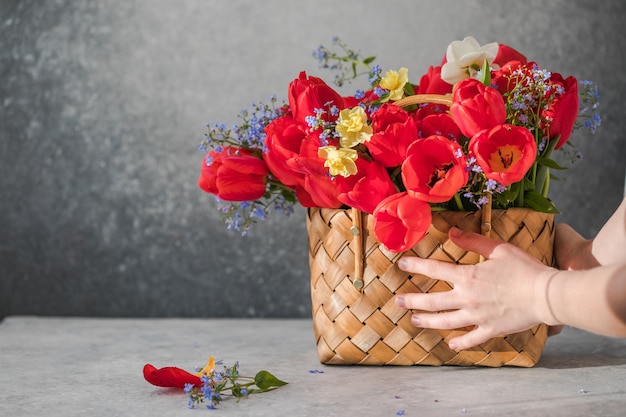 白い表面にある籐のバスケットに水仙と赤いチューリップの夏または春の花束