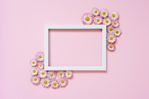 Summer or spring composition on a pink background Daisy flowers with a white frame with a top view of the copy space Summer spring flower concept