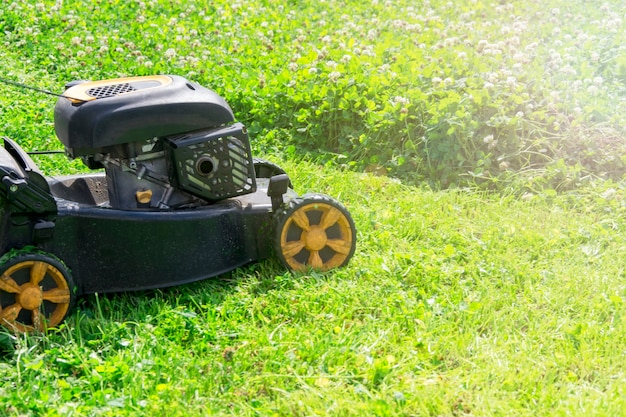 Summer and spring season sunny lawn mowing in the garden.