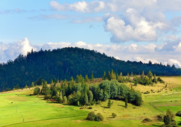 Summer sunny mountain hill view (Carpathian, Ukraine)