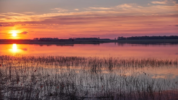 summer sunset over the lake