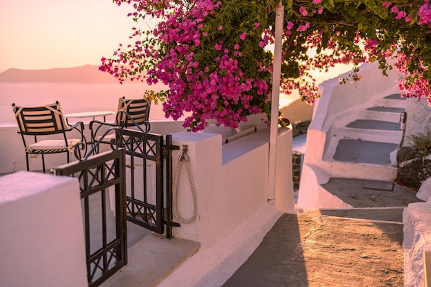 サントリーニ島の豪華な有名なヨーロッパの目的地の白い建築の夏の日没の休暇の風光明媚な