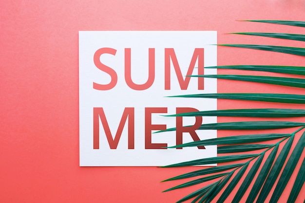 Photo summer text with tropical leaves in pastel color backgrounds