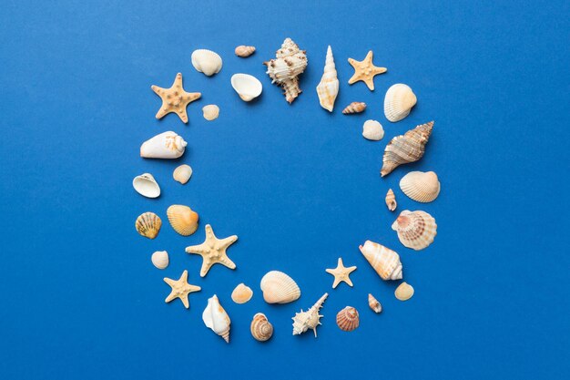 Summer time concept on colored background Seashells from ocean shore in the shape of frame separated with space for text top view