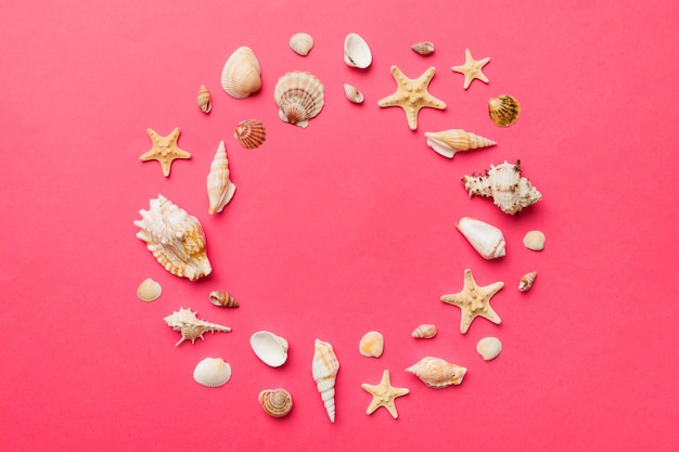 Summer time concept on colored background Seashells from ocean shore in the shape of frame separated with space for text top view