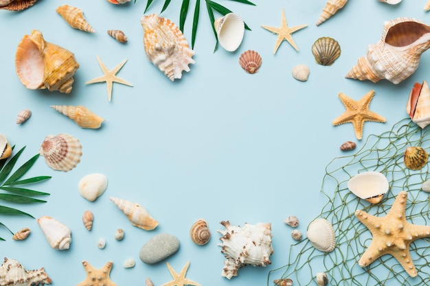 Summer time concept Flat lay composition with beautiful starfish and sea shells on colored table top view with copy space for text