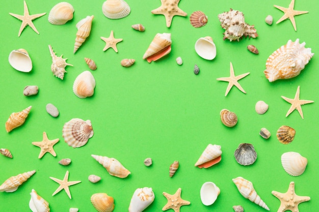 Summer time concept Flat lay composition with beautiful starfish and sea shells on colored table top view with copy space for text