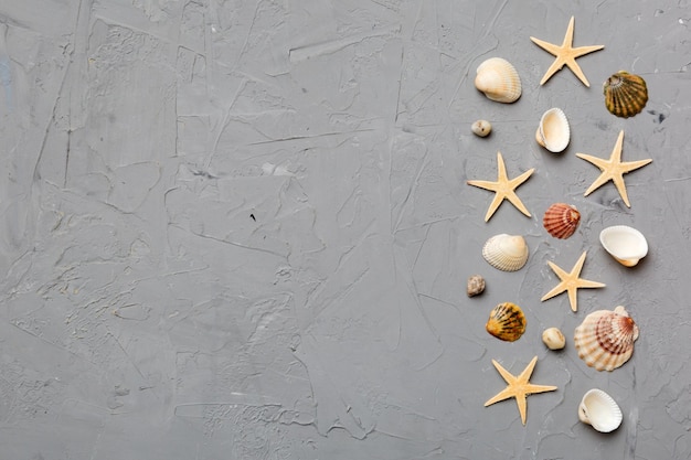 Summer time concept Flat lay composition with beautiful starfish and sea shells on colored table top view with copy space for text