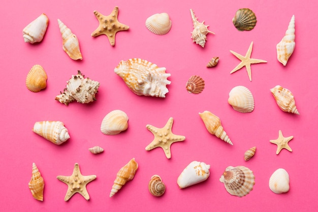 Summer time concept Flat lay composition with beautiful starfish and sea shells on colored table top view