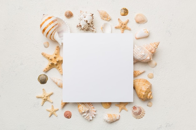 空白のグリーティングカードと色付きの背景に空白の白い紙と夏の時間の概念テキスト上面図のためのスペースで区切られたフレームの形をした海岸からの貝殻