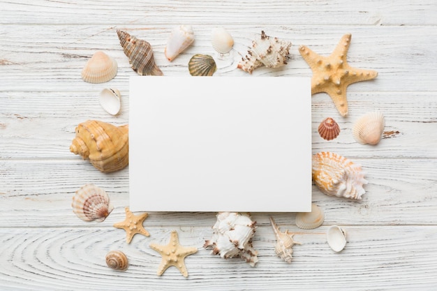 空白のグリーティングカードと色付きの背景に空白の白い紙と夏の時間の概念テキスト上面図のためのスペースで区切られたフレームの形をした海岸からの貝殻