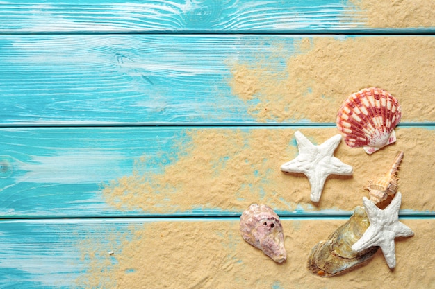 Summer time concept with sea shells background with copyspace