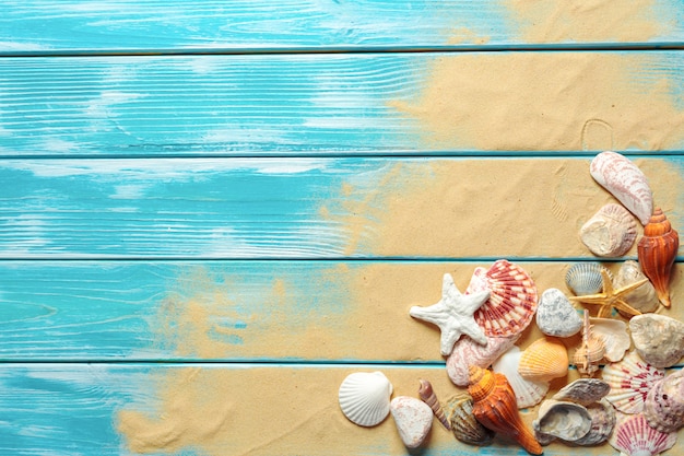 海の貝殻を持つ夏の時間の概念