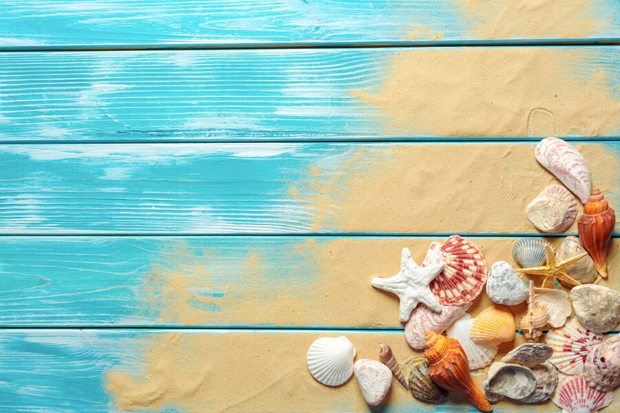 Premium Photo | Summer time concept with sea shells