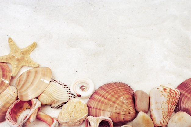 Summer time concept with seashells, star, sea pebbles on white sand background.