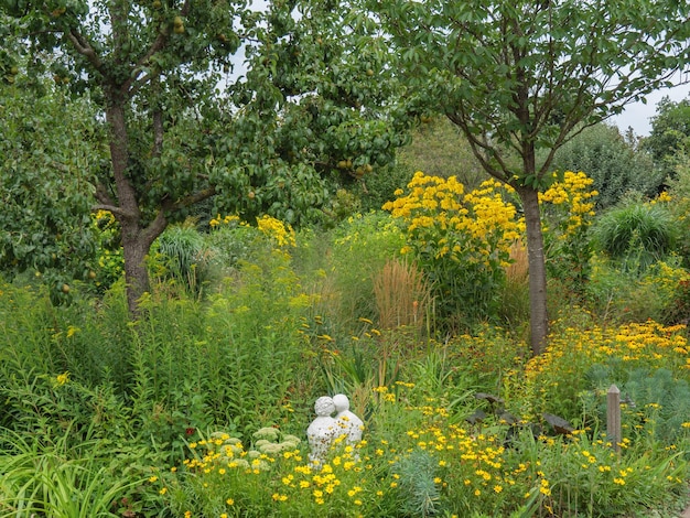 summer time in the garden