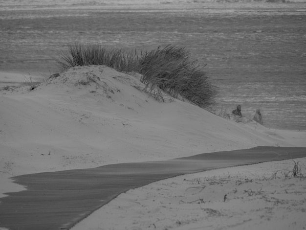 Photo summer time at juist beach