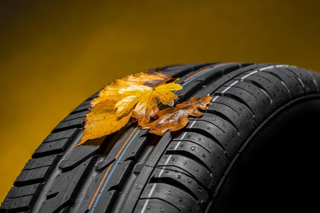 summer tires with autumn leaves