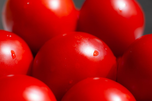 Фото Ферма сельского хозяйства томатов лета полная органических овощей ее можно использовать как фон.