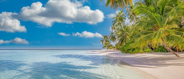 Summer travel background exotic tropical beach island paradise coast palm trees white sand