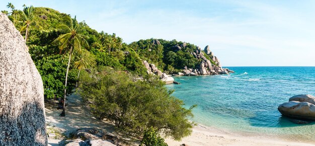 夏の熱帯のビーチと海の風景