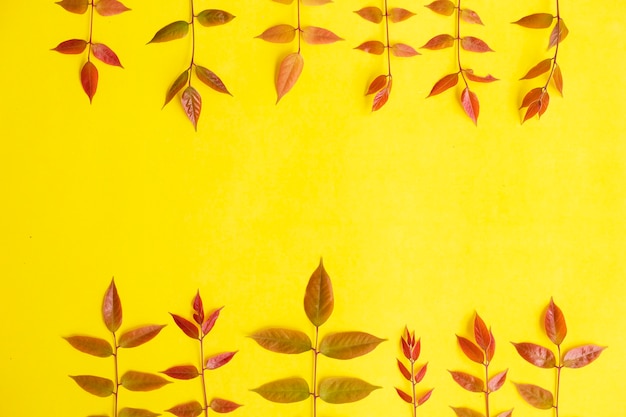 Summer Tropical Composition. Colored Leaves On Yellow Paper Background. Summer Concept. Colored Leaves Isolated On A Yellow Background.