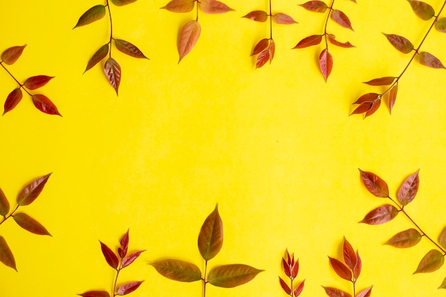 Summer Tropical Composition. Colored Leaves On Yellow Paper Background. Summer Concept. Colored Leaves Isolated On A Yellow Background.