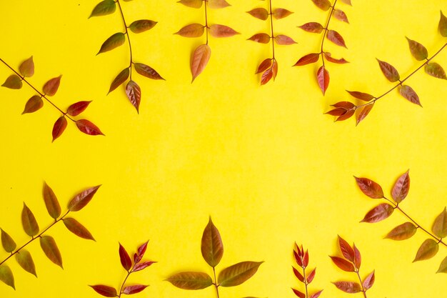 Summer Tropical Composition. Colored Leaves On Yellow Paper Background. Summer Concept. Colored Leaves Isolated On A Yellow Background.