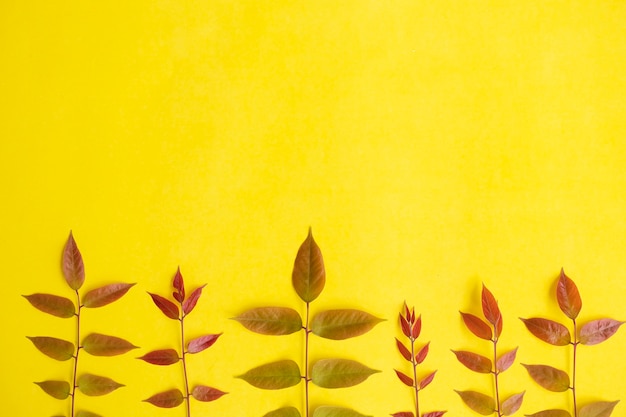 Summer Tropical Composition. Colored Leaves On Yellow Paper Background. Summer Concept. Colored Leaves Isolated On A Yellow Background.