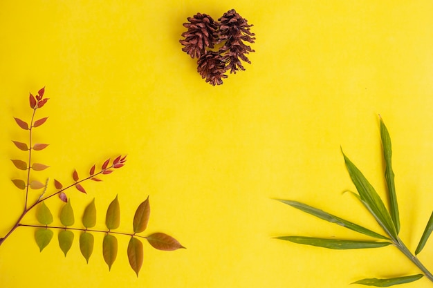 Summer tropical composition. Flowers pine cones and colored leaves on a yellow paper background. Summer concept. Flowers pine cones and colored leaves isolated on a yellow background.