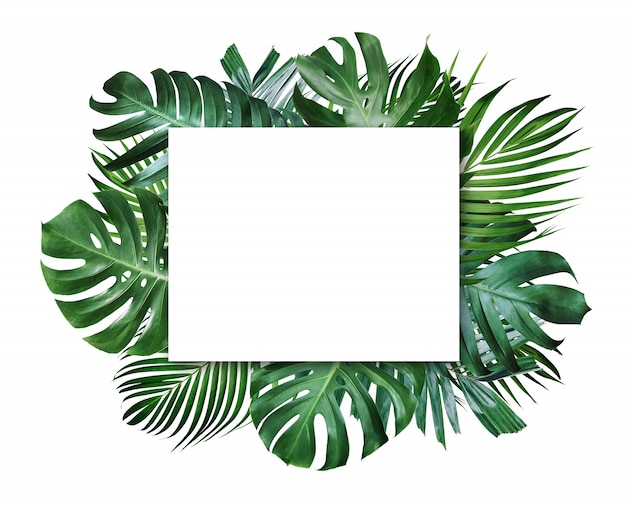 Summer tropical leaves and blank frame with copy space on white background