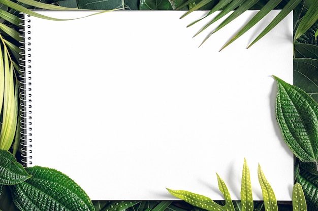 Summer tropical mix leaves background  with blank white paper , top view, copy space