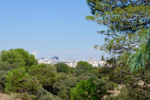 スペイン、マドリッドのカサデカンポ観光地からの夏の都市公園の緑の眺め