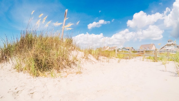 Summer vacation on the beach in South Carolina.