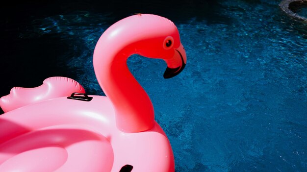 Photo summer vacation fun funny pink flamingo float in a swimming pool trendy summer concept