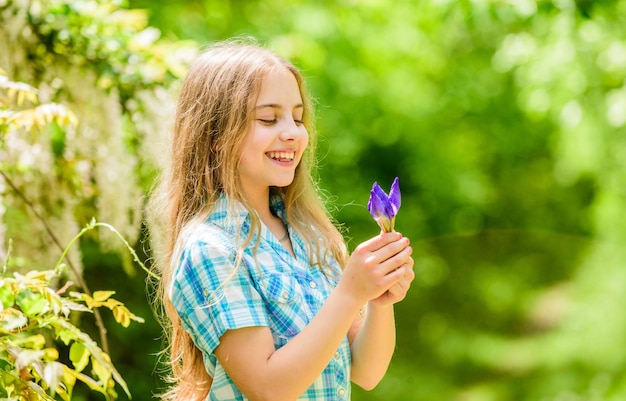 夏休み緑の環境幸せな子供はアイリスの花を保持します小さな女の子とアイリスの花自然の美しさ子供時代の幸せの花屋春の休日女性の日若くてのんき