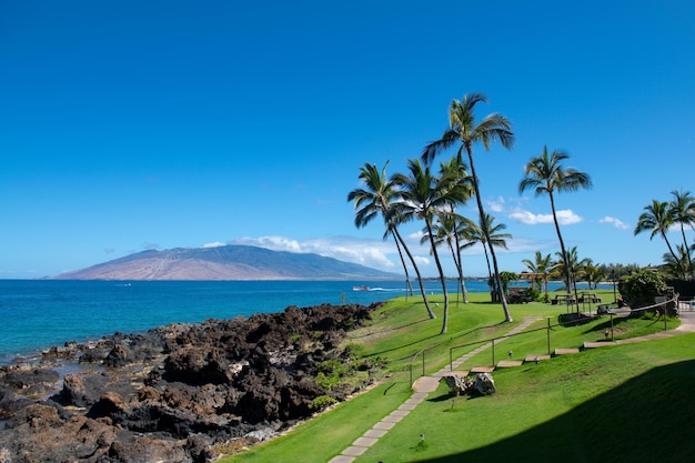 Summer vacation holiday background of a tropical beach and blue sea Hawaii beach Coconut palm trees