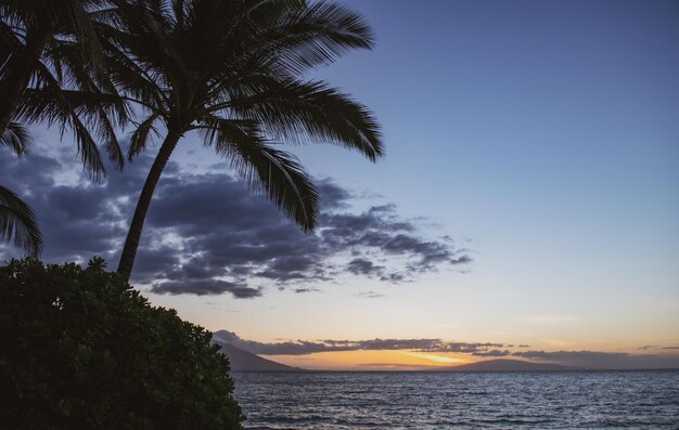 열대 해변과 푸른 바다 하와이 해변의 여름 휴가 휴가 배경