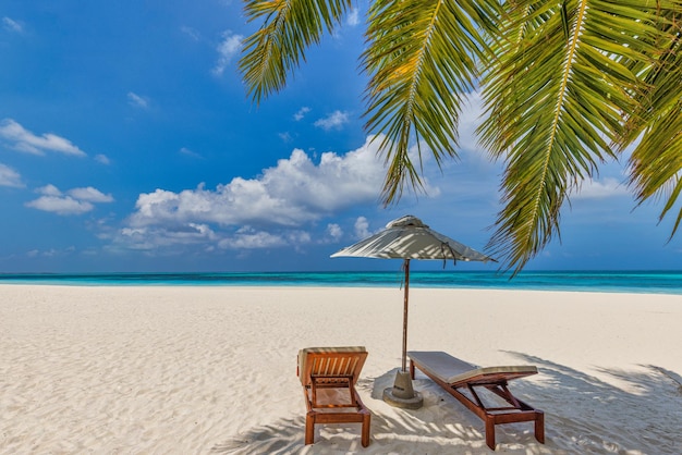 Летние каникулы, морской песчаный пляж, путешествия. Пара стульев крупным планом под зонтиком под пальмами, листьями