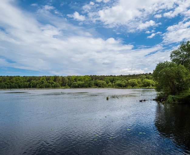 Summer valley lake landscape