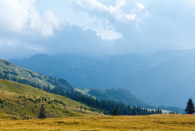 Transalpina 도로(루마니아 남부 Carpathians)에서 여름 보기.