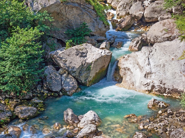 Vista estiva sull'acqua del fiume di montagna con pietre tra woodsxa