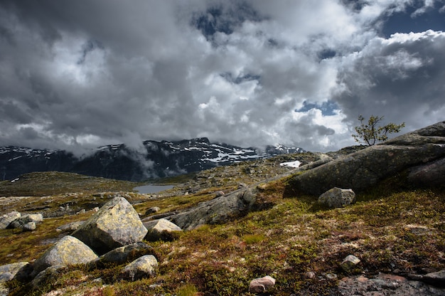 La vista estiva di trolltunga a odda, lago ringedalsvatnet, norvegia.