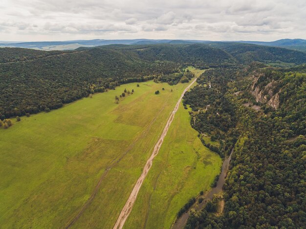 Photo summer warm sun light forest aerial view