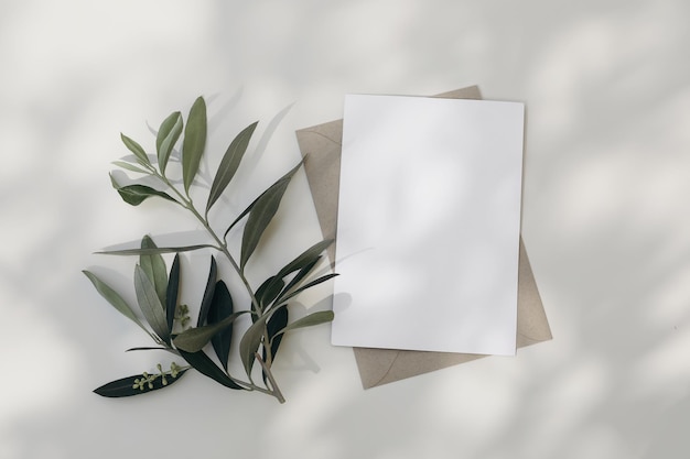 Summer wedding stationery Blank greeting card invitation mockup scene with craft envelope Blooming green olive tree leaves branch isolated on white table background Mediterranean flat lay top view