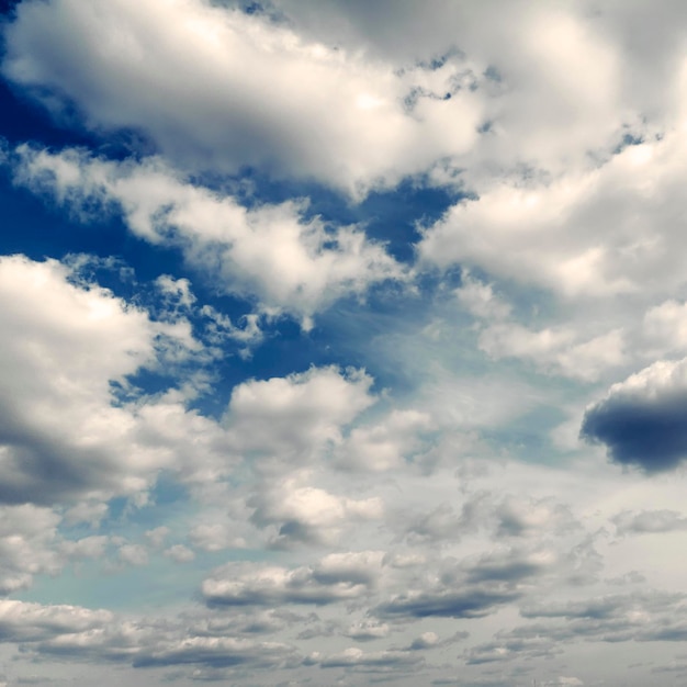 夏の白い雲空の背景