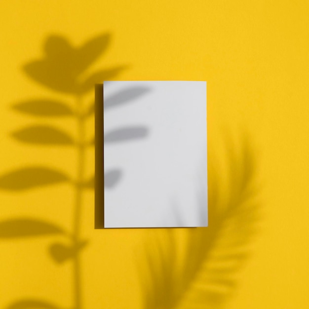 Summer yellow background Tropical leaf shadow on a blank white label