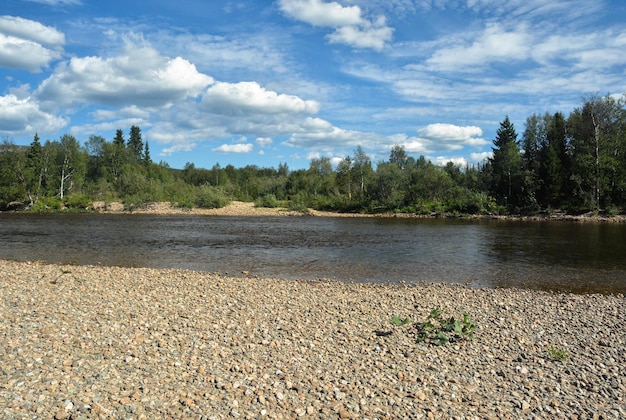 Summer in the Yugyd Va National Park