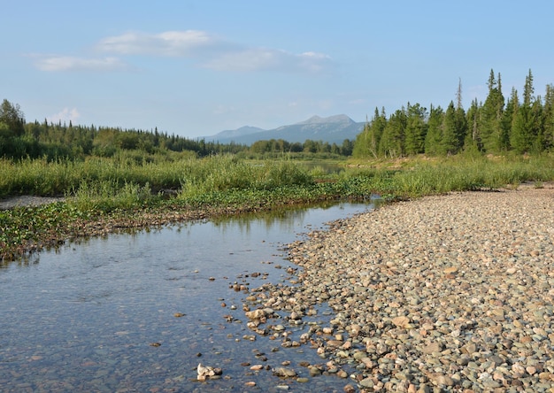 Summer in the Yugyd Va National Park